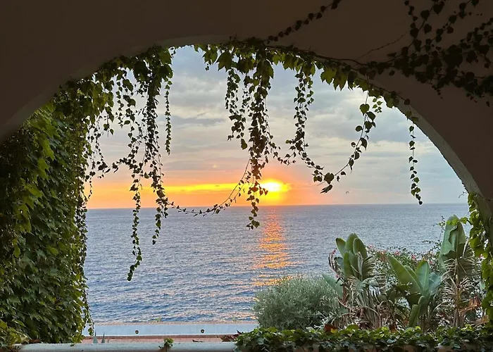 酒店 卡拉斯科酒店 4*